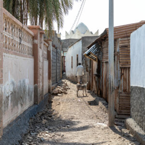 Tales of the Djibouti, stolen moment by camille massida photography